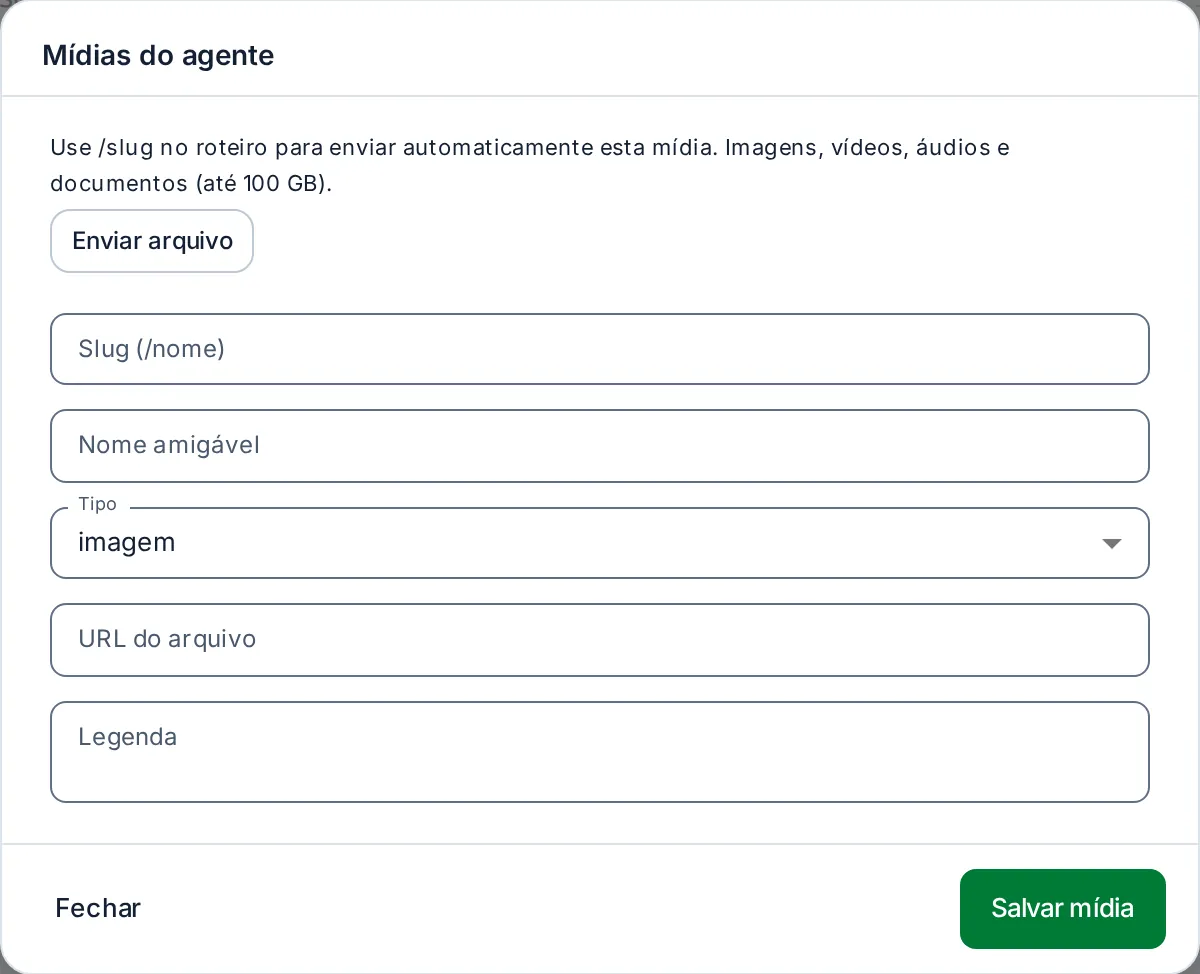 Janela Mídias do agente com os campos de arquivo, slug, nome amigável e tipo