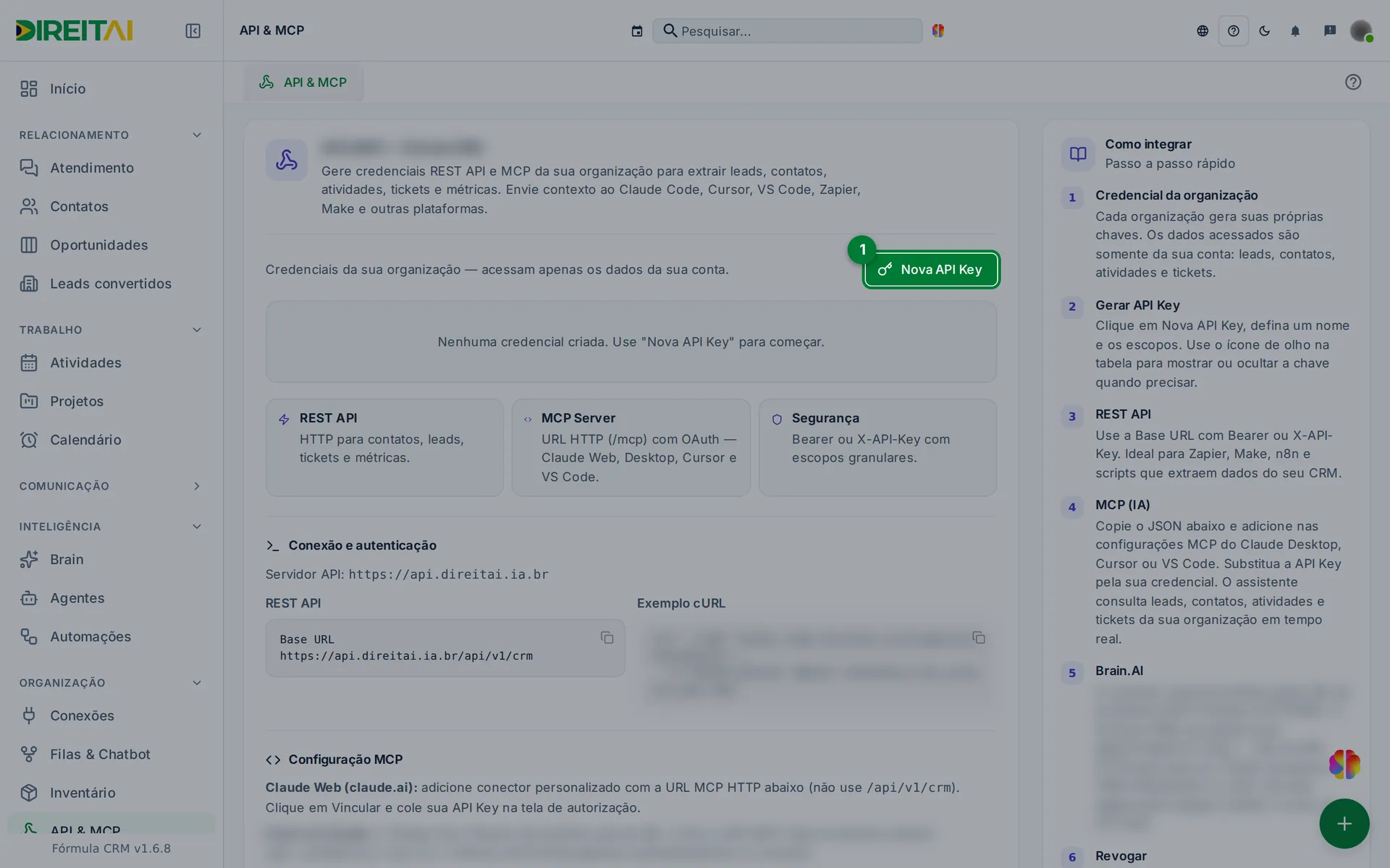 Botão Nova API Key no bloco de credenciais, destacado